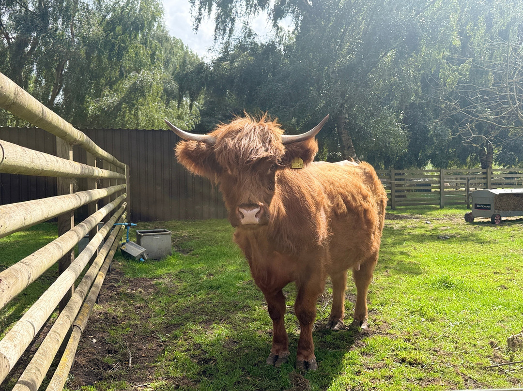 Tattershall Farm Park-Tattershall必去景点
