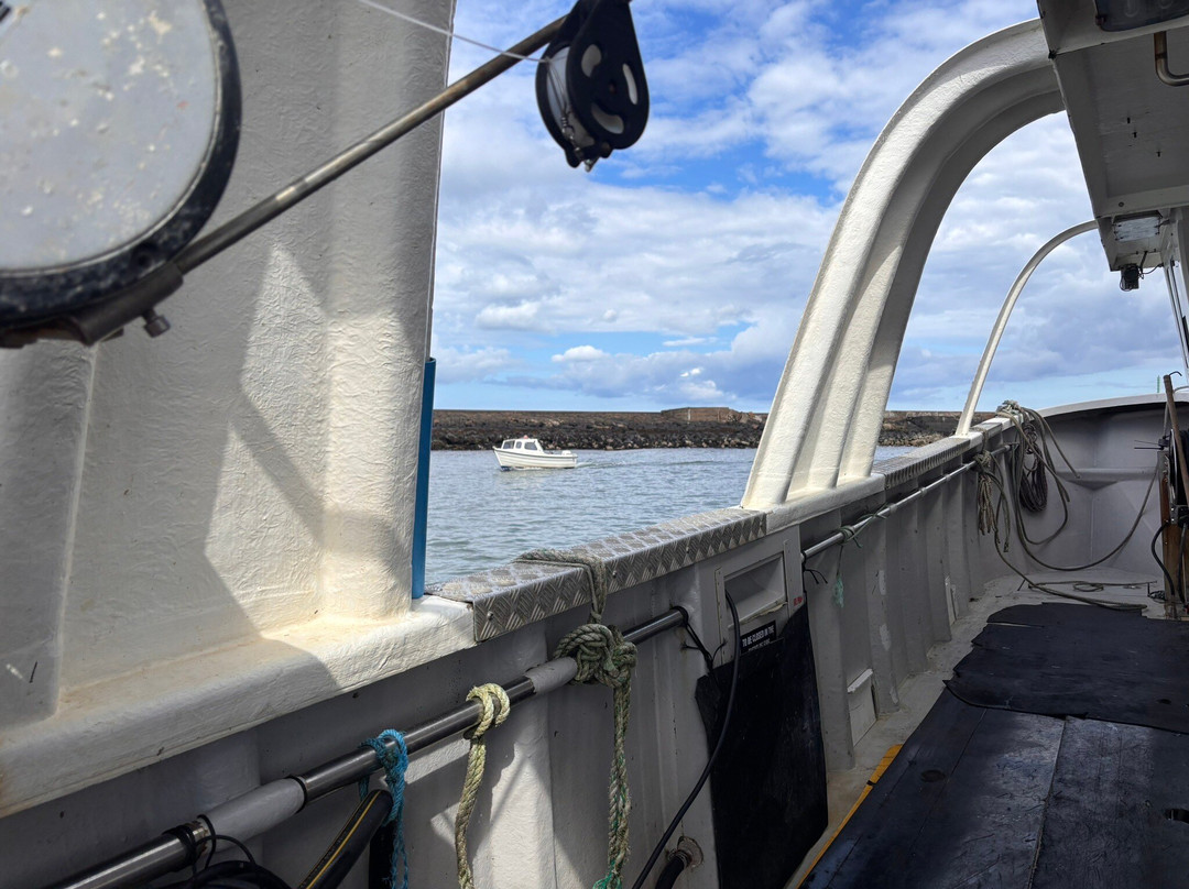 Amble boat trips-Amble必去景点