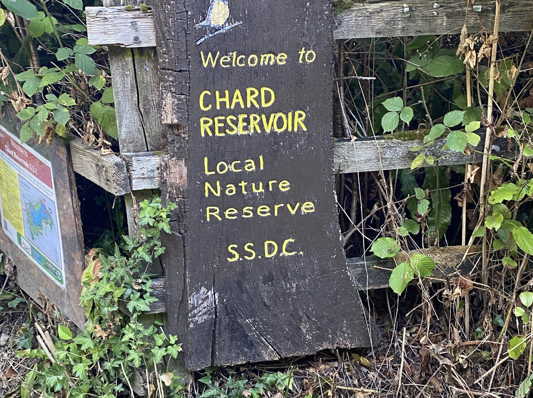 Chard Reservoir-Chard必去景点
