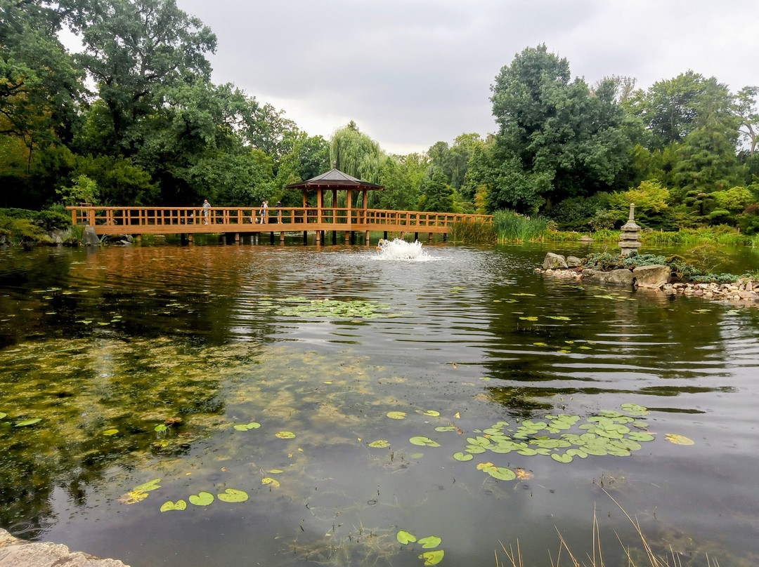 Japanese Garden - Szczytnicki Park-弗罗茨瓦夫必去景点