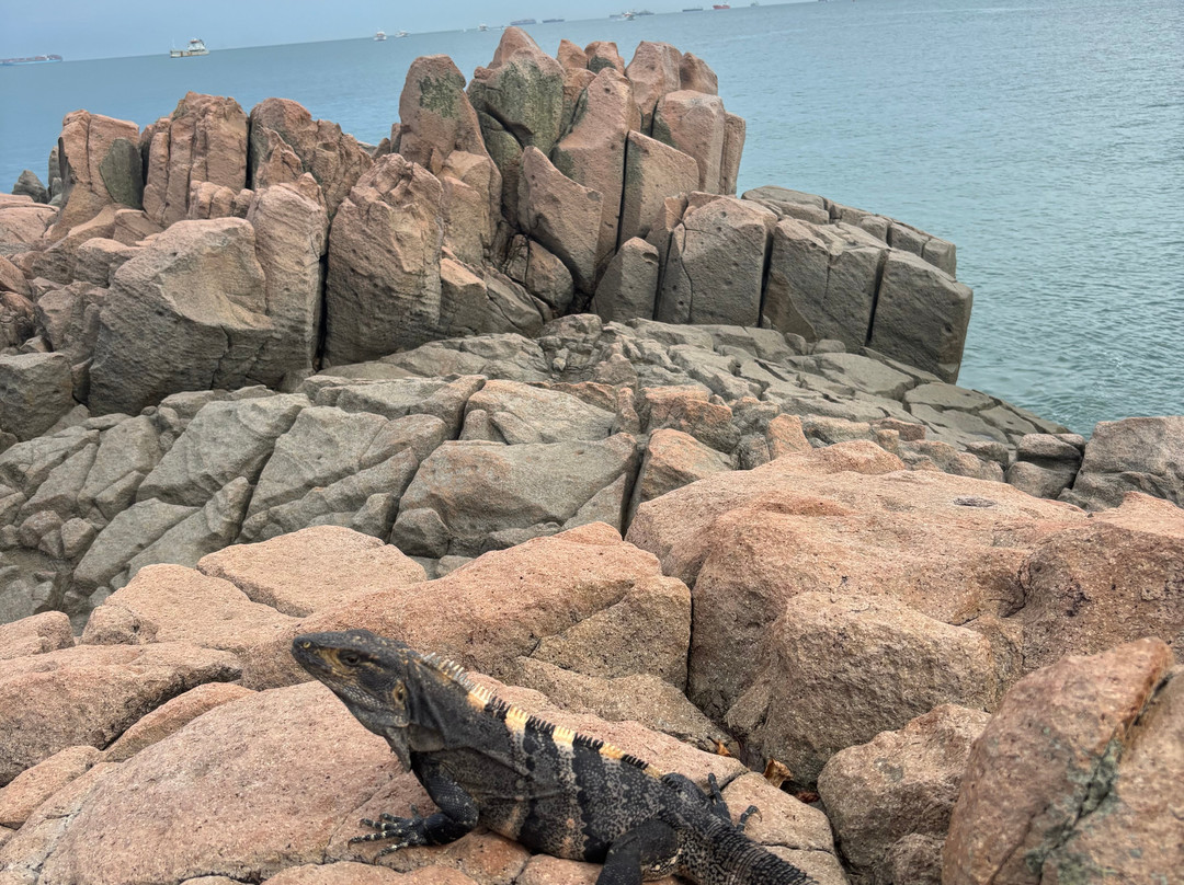 Punta Culebra Nature Center-巴拿马城必去景点