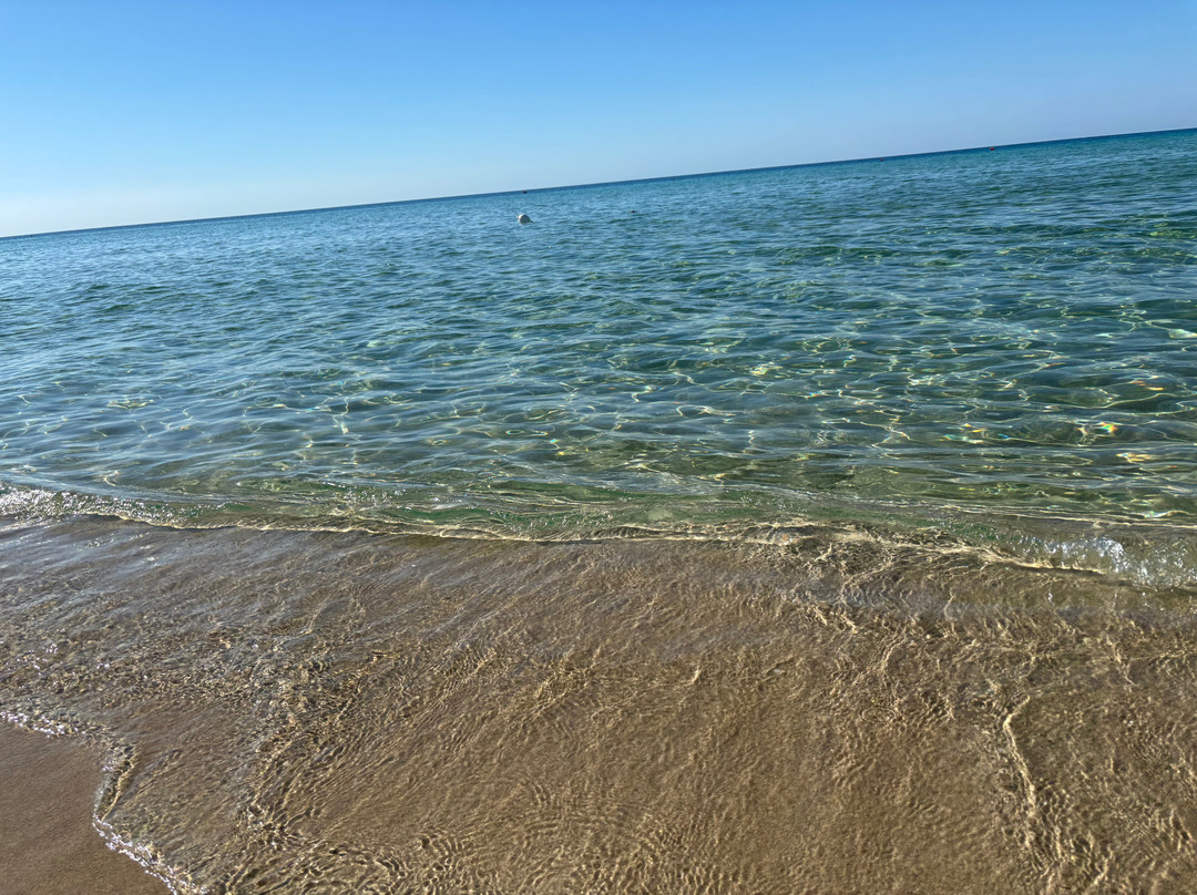 Lido degli Angeli-切萨雷奥港必去景点