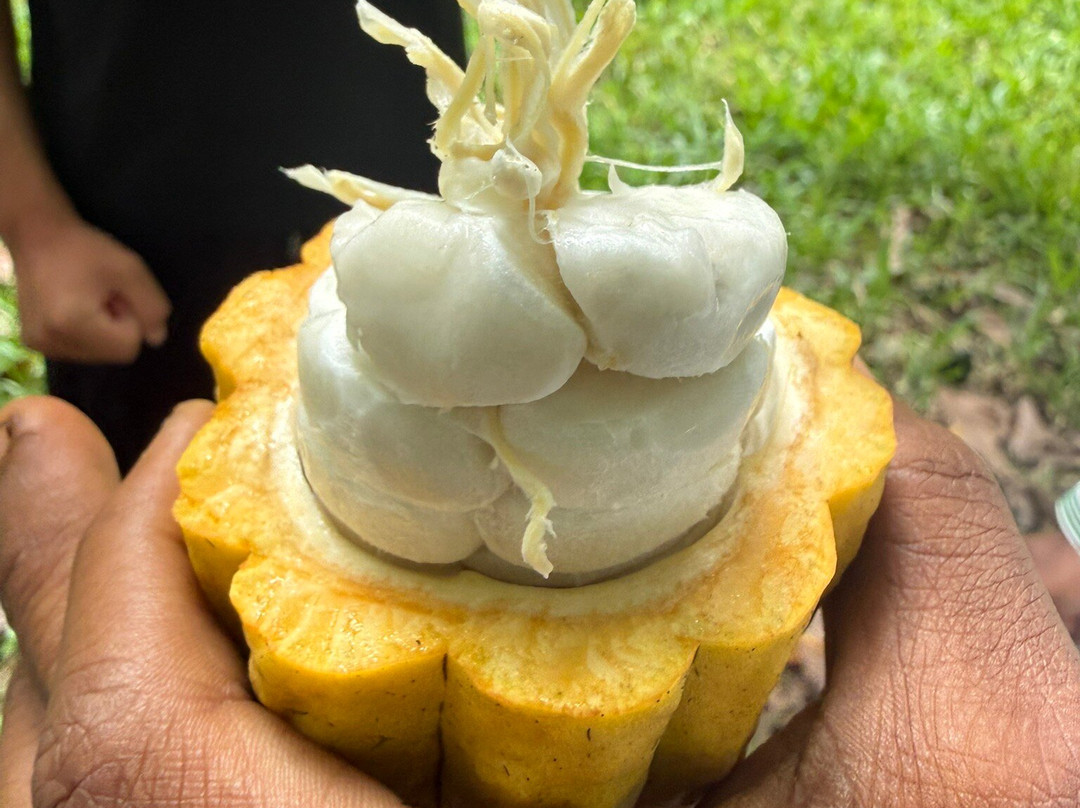 Bwa Mzee Spice Farm-基万嘎必去景点