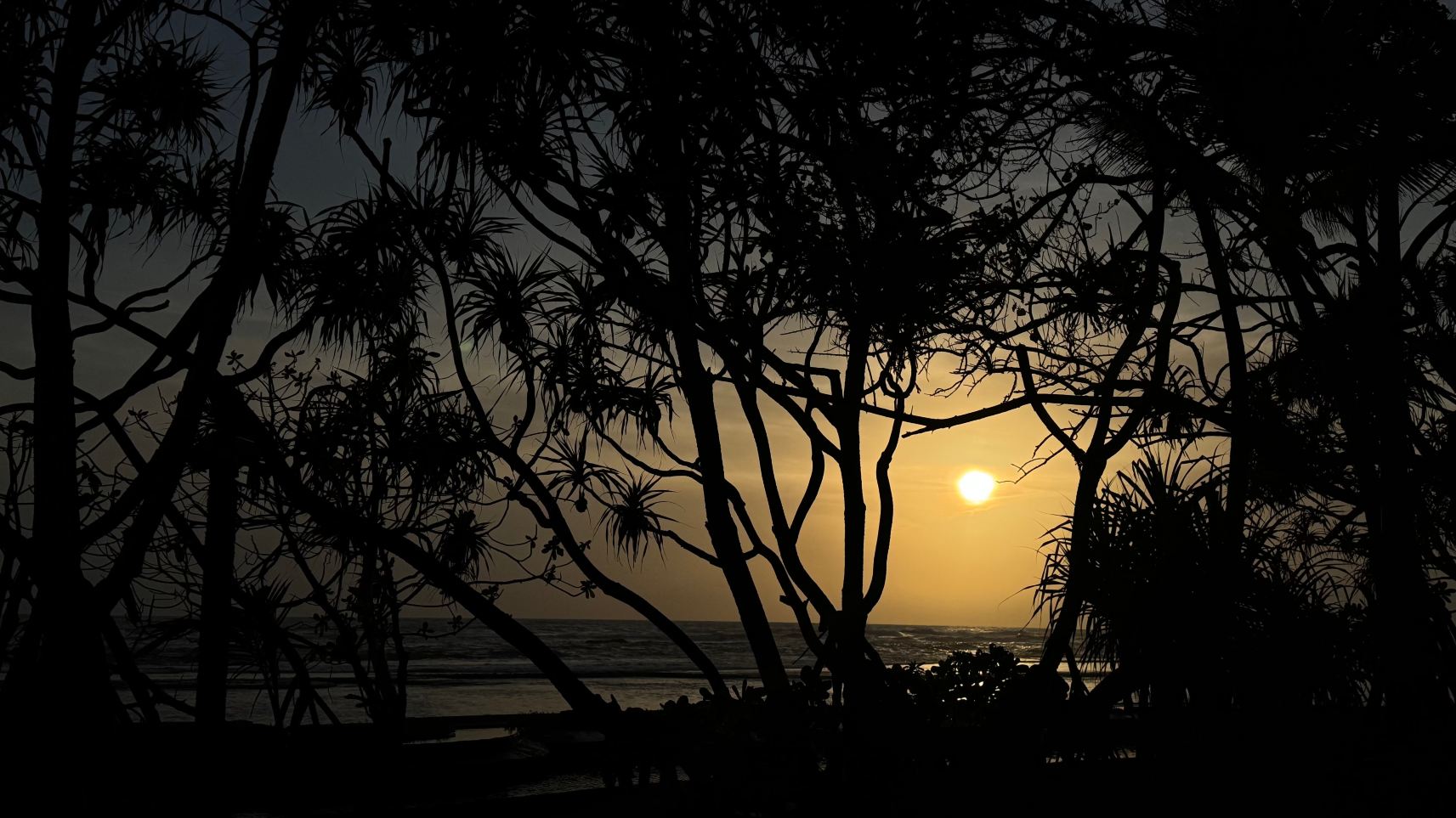 Barberyn Reef Ayurveda Resort-旅行者