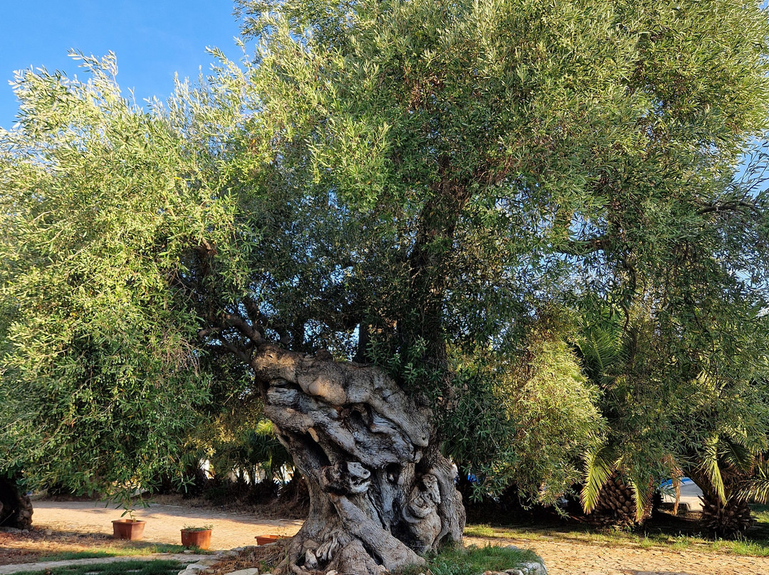 Masseria La Grave主图