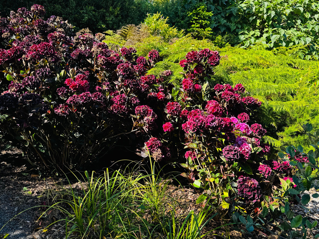 Logan Botanic Garden-Port Logan必去景点