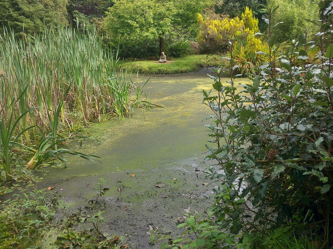 Glenwhan Gardens-Dunragit必去景点