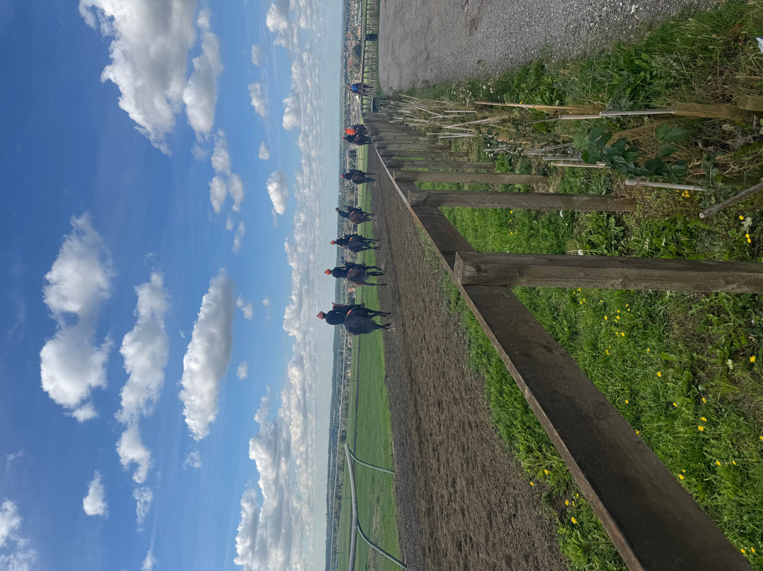 Discover Newmarket Tours-纽马克特必去景点