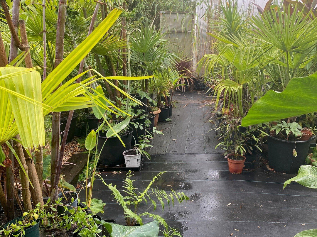 Henstead Exotic Garden-Beccles必去景点
