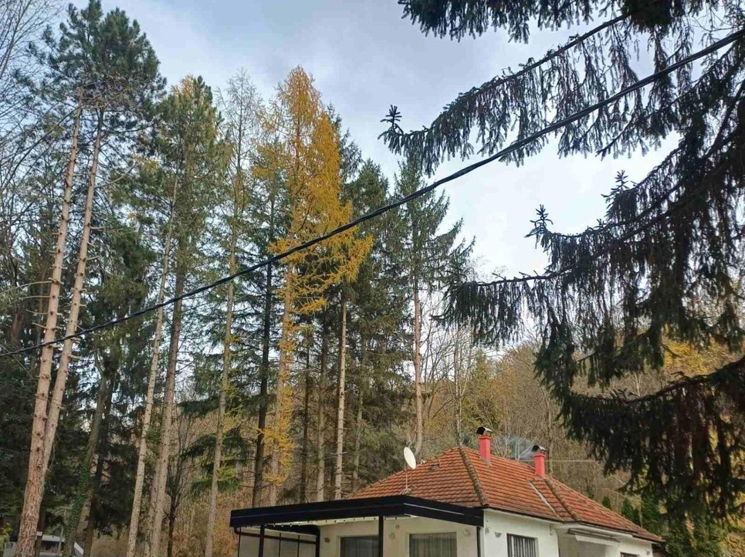 Apartmani Grza