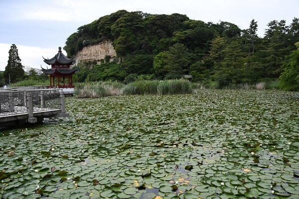 三溪园-横滨市必去景点