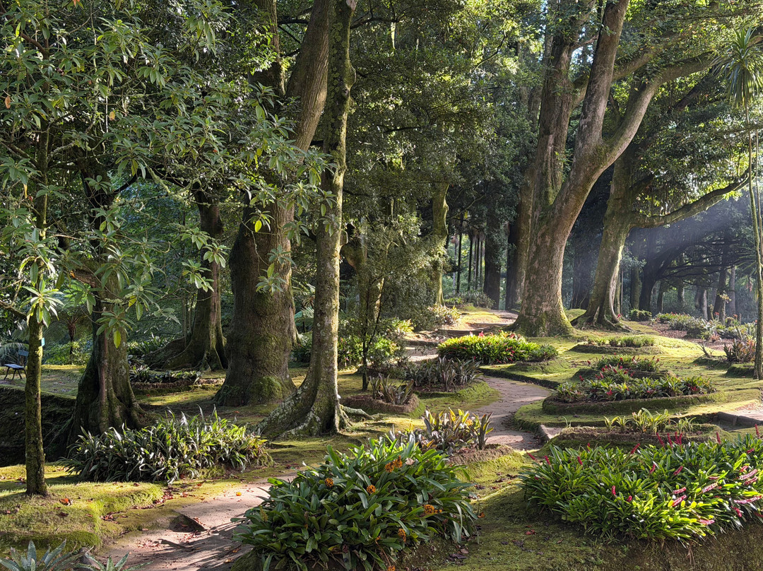 Parque Terra Nostra-富尔纳斯必去景点