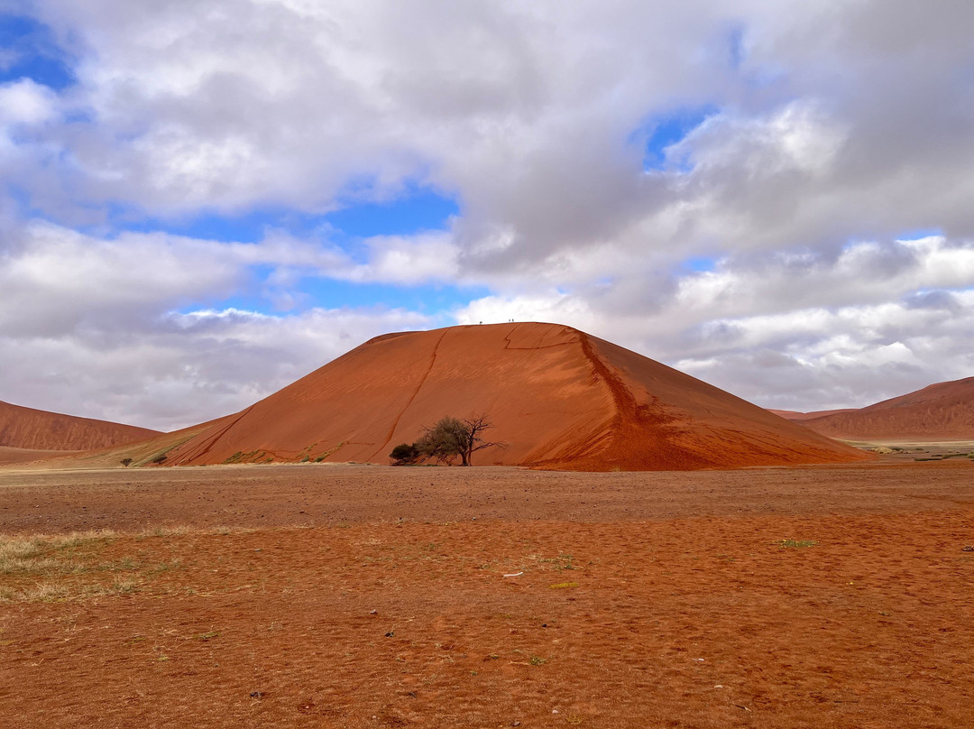 Namib Desert-苏丝斯黎必去景点