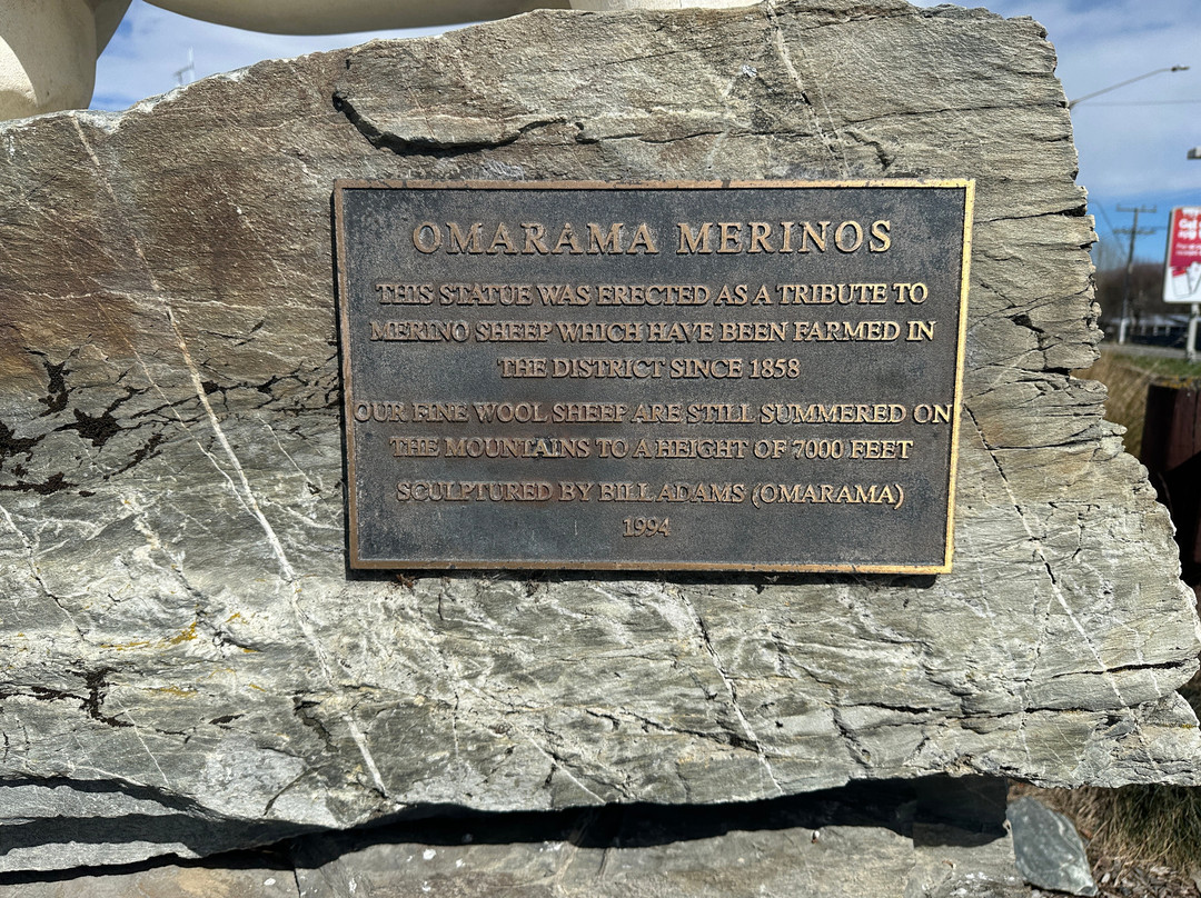 Omarama Sheep Statue-奥马拉马必去景点