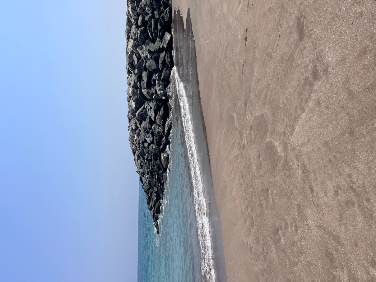 富查伊拉海滩宫殿度假村-旅行者