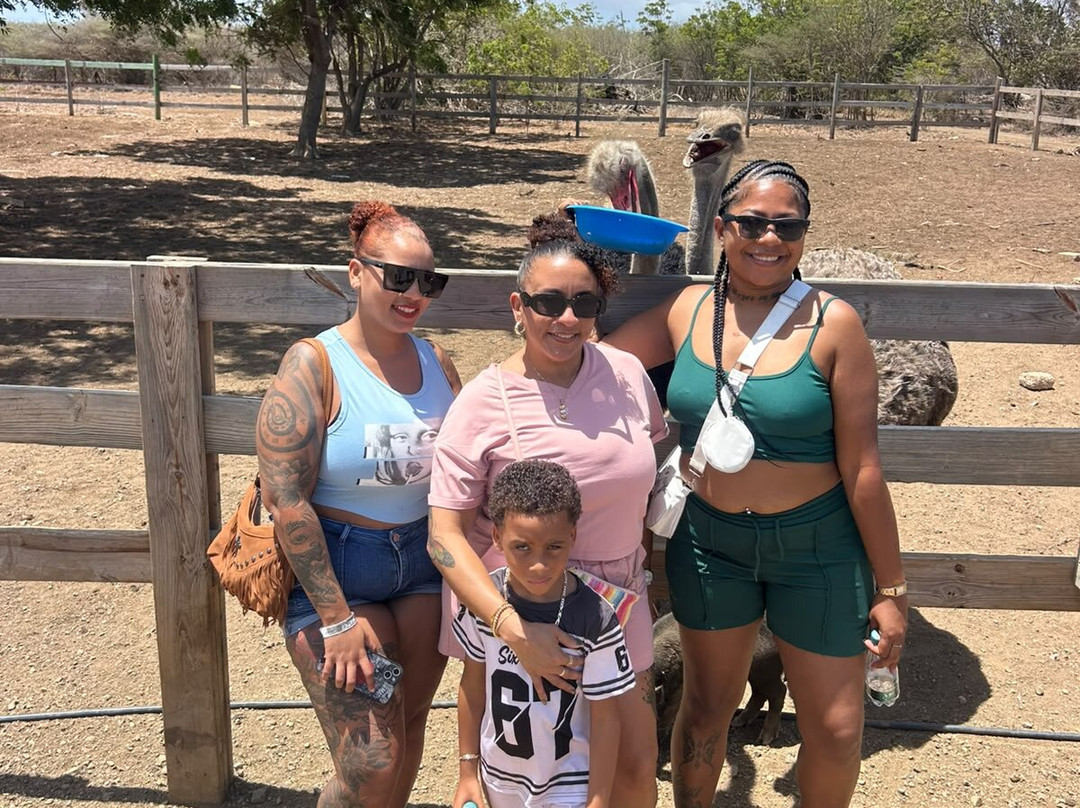 Curacao Ostrich Farm-库拉索必去景点
