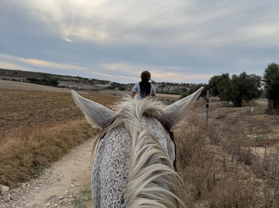 Al-Mesquid Stables-Sanlucar de Barrameda必去景点