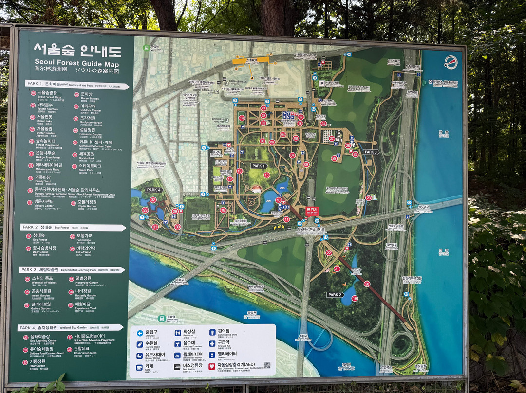 Seoul Forest-首尔必去景点