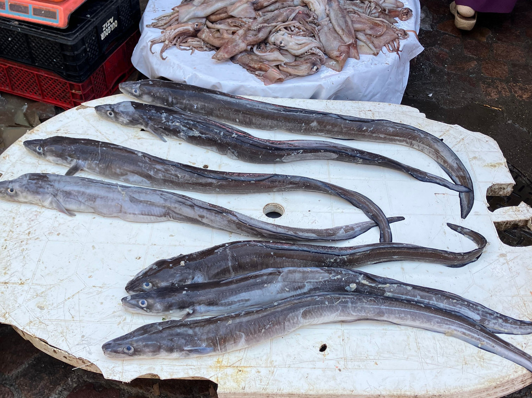 Fish Market-索维拉必去景点