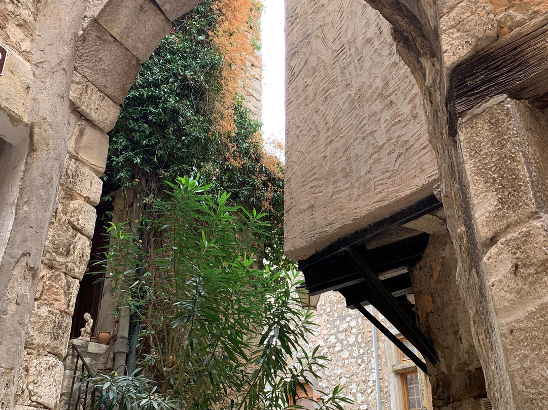 Tourrettes-sur-Loup - Village Medieval-Tourrettes-sur-Loup必去景点