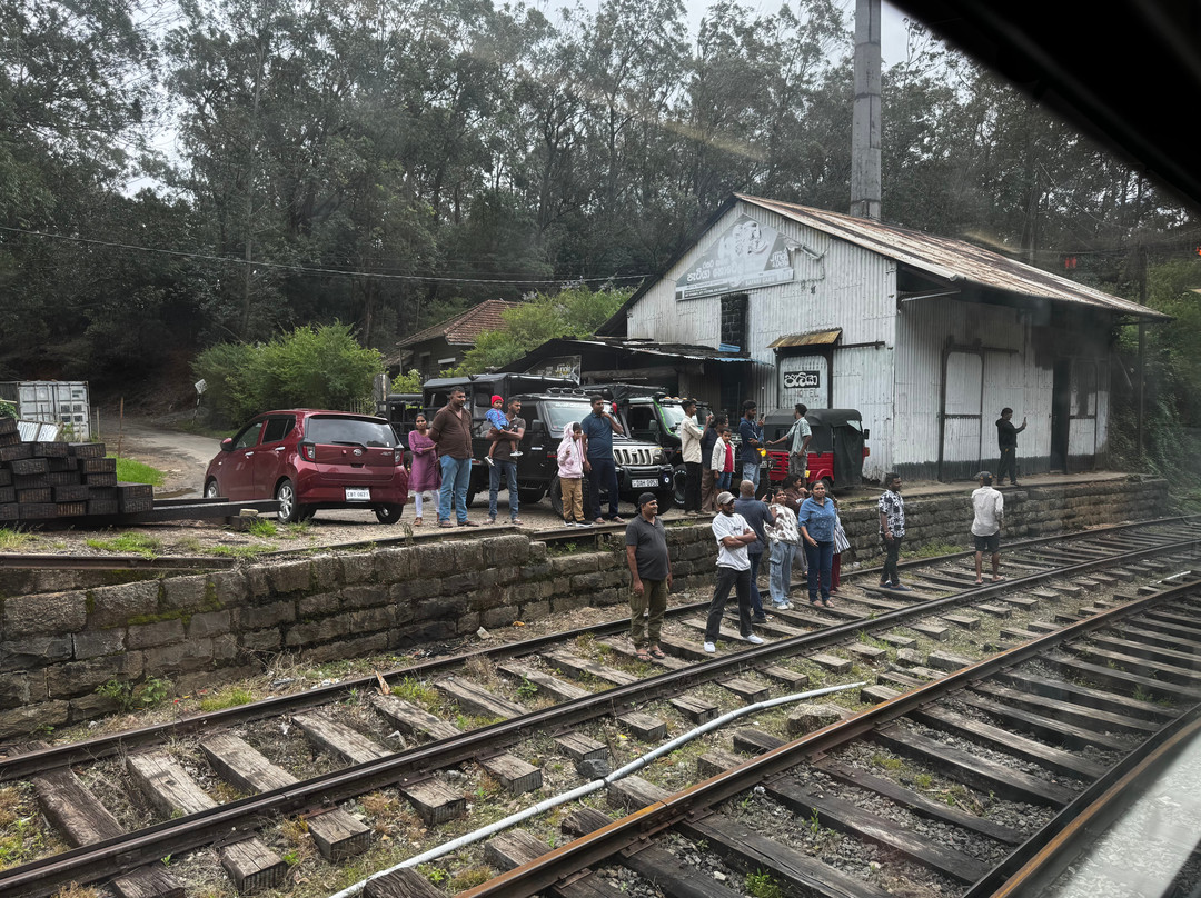Nanuoya to Ella Train Ride