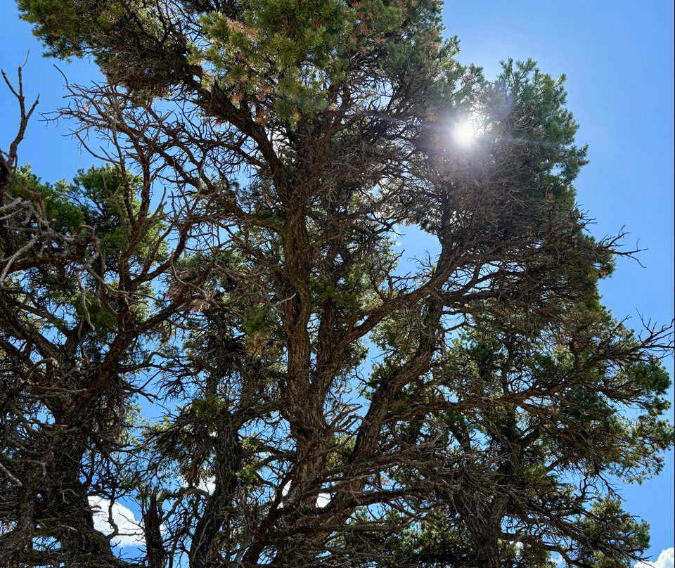 Chimney Rock National Monument-Chimney Rock必去景点
