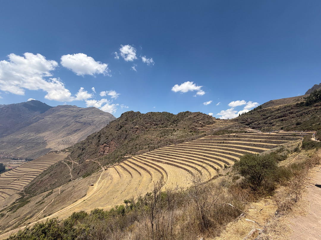 Alpaca Expeditions-库斯科必去景点