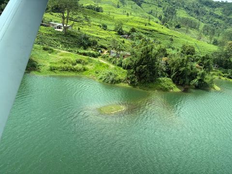 锡兰茶径 - 瑞莱斯和城堡 - 全包式-旅行者