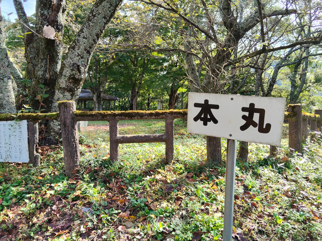 The Site of Oshima Castle (Daijo Park)
