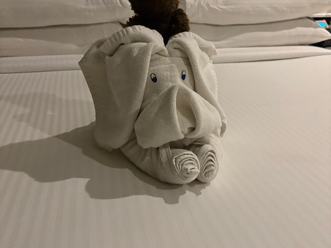 普莱奇斯科普酒店主图
