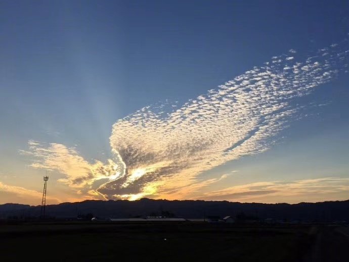 徐庄苏宁雅悦酒店-官方
