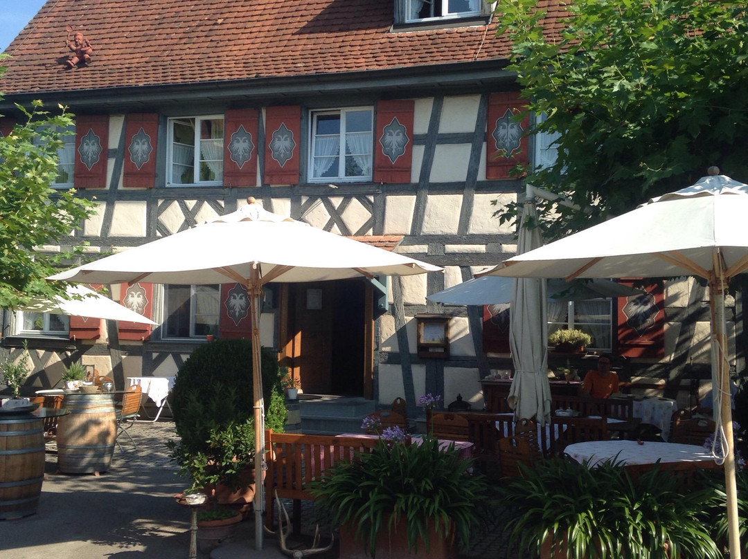 Frickingen酒店住宿-Landgasthof zum Adler