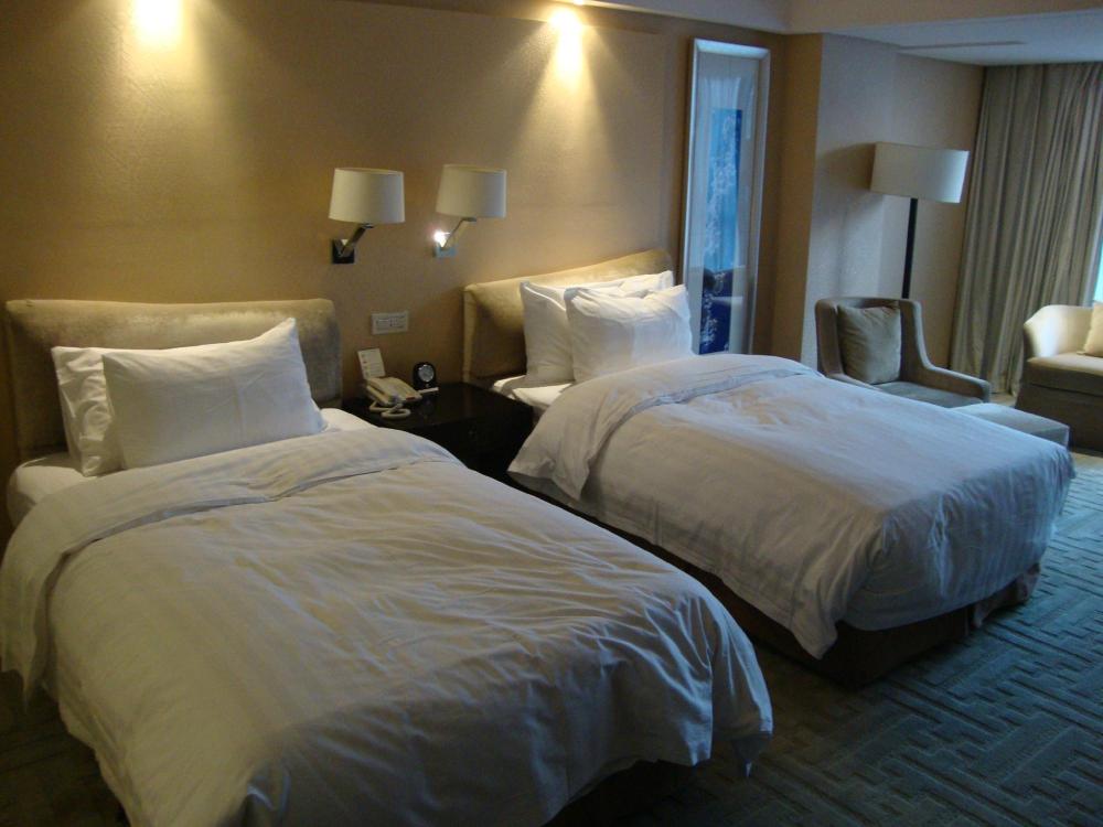 北大博雅国际酒店-客卧