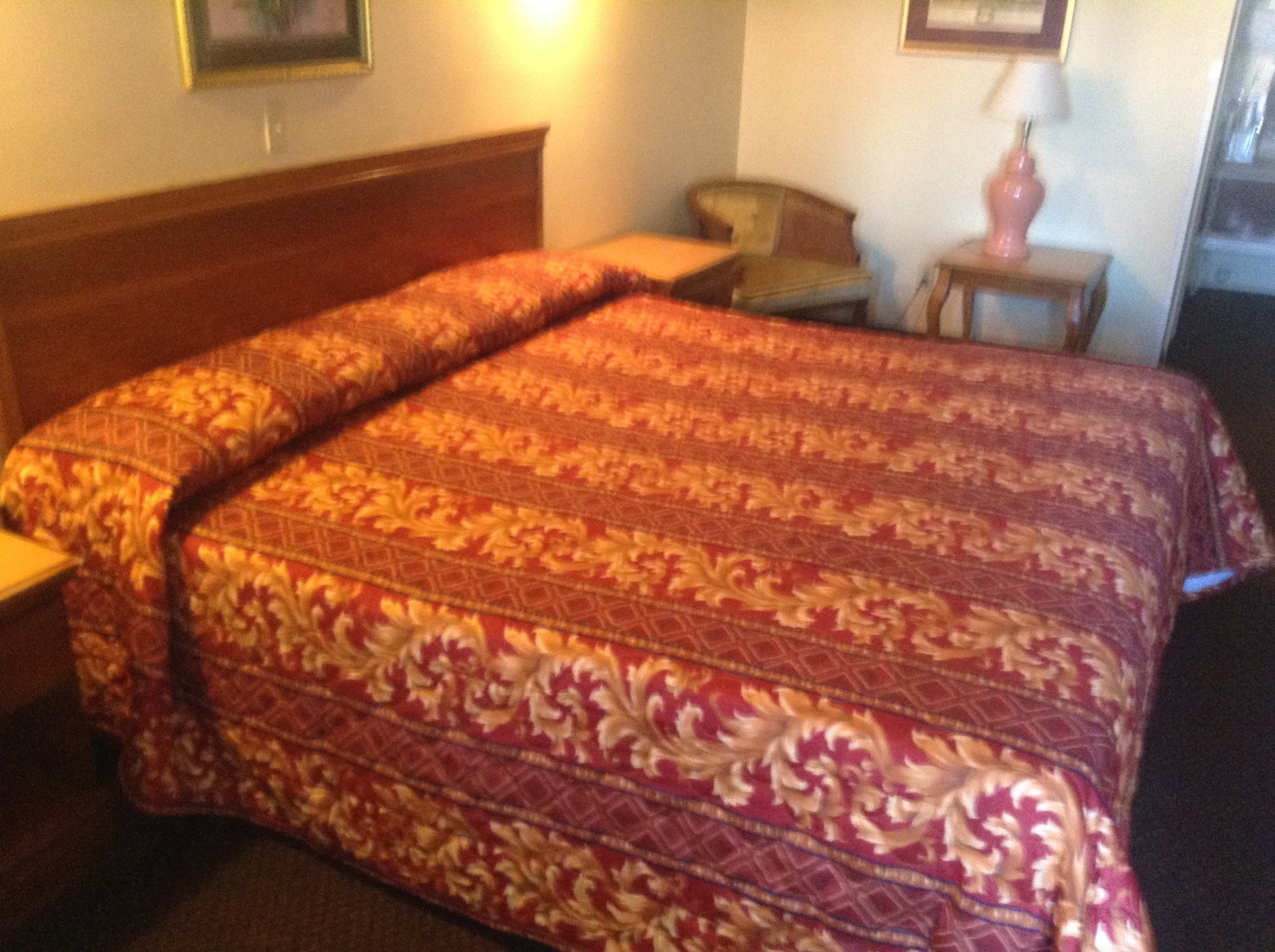 Springfield Inn-官方