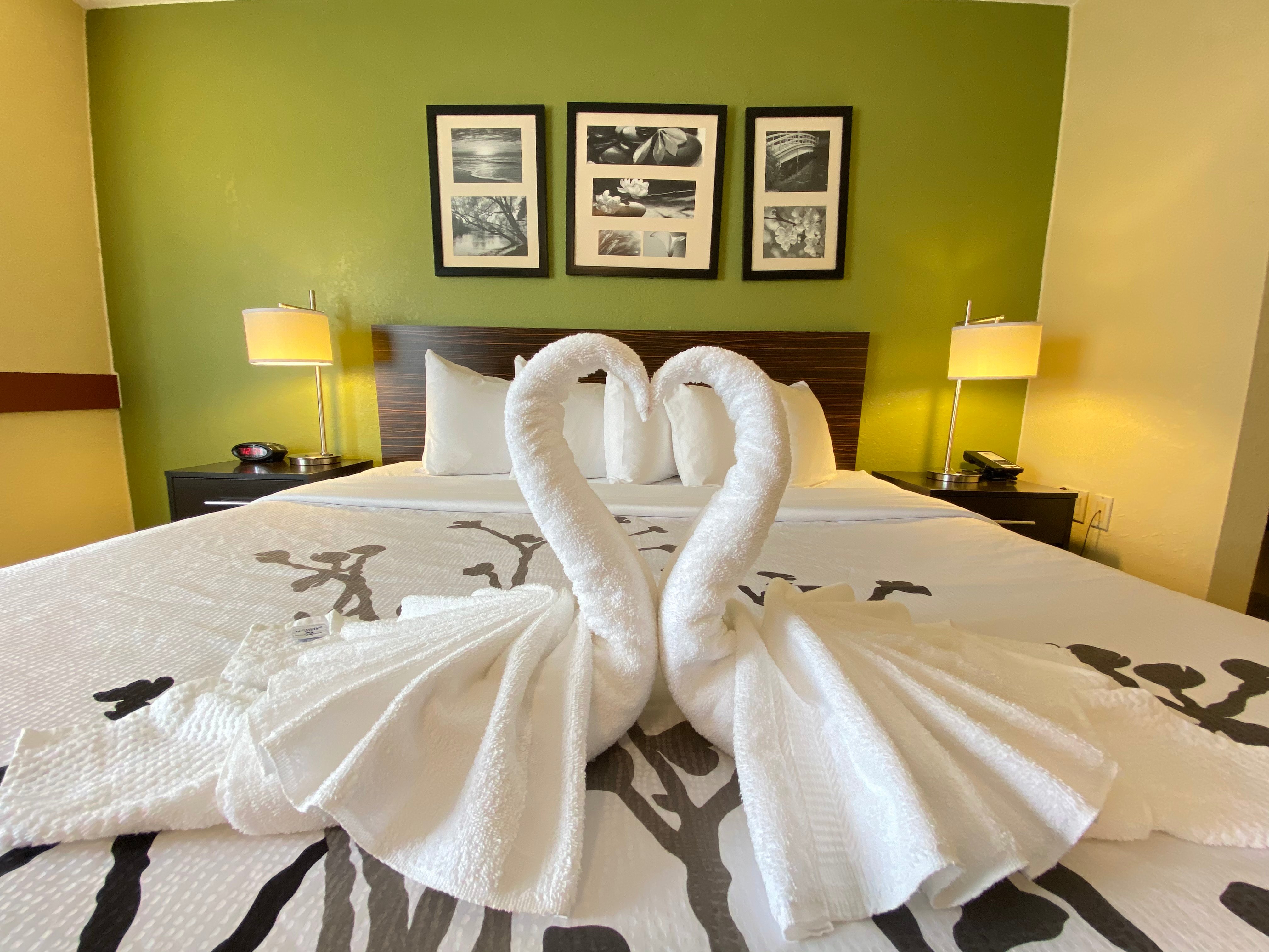 Sleep Inn & Suites-官方
