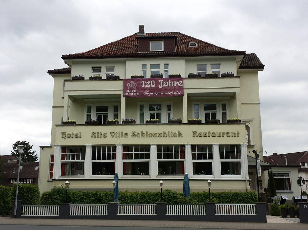 Bad Pyrmont酒店住宿-Alte Villa Schlossblick