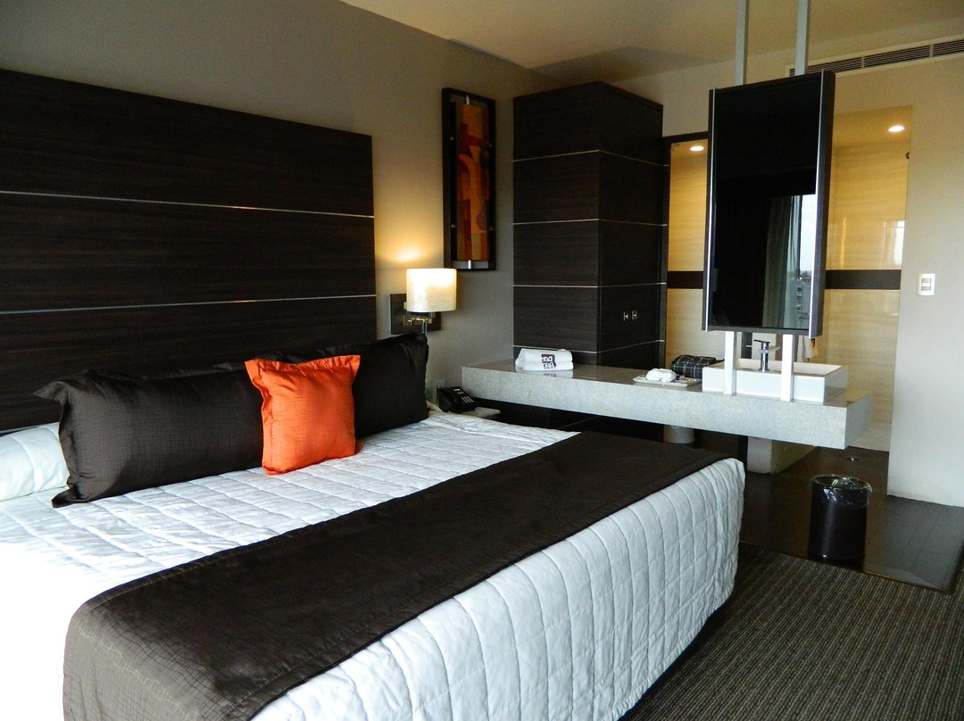 瑞尔阿拉米达日奎雷塔罗酒店主图