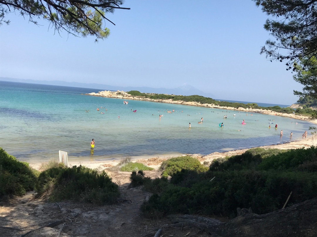 Vourvourou酒店住宿-Karidi Beach Apartments