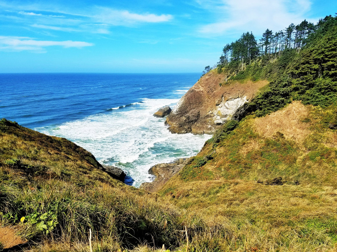 Cape Disappointment State Park景点图片