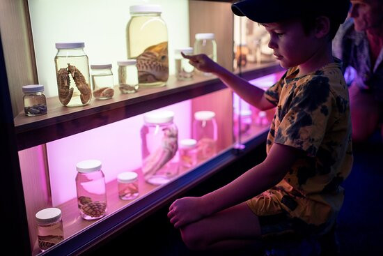 Marine Discovery Centre景点图片
