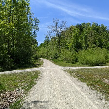 Dawkins Line Rail Trail-Swamp Branch必去景点