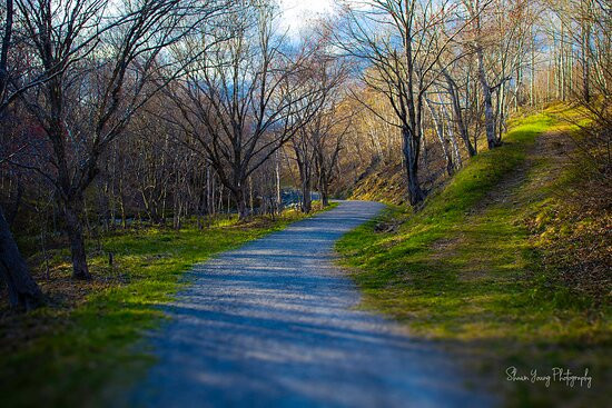 Greenlink Rotary Park Trail System-悉尼必去景点