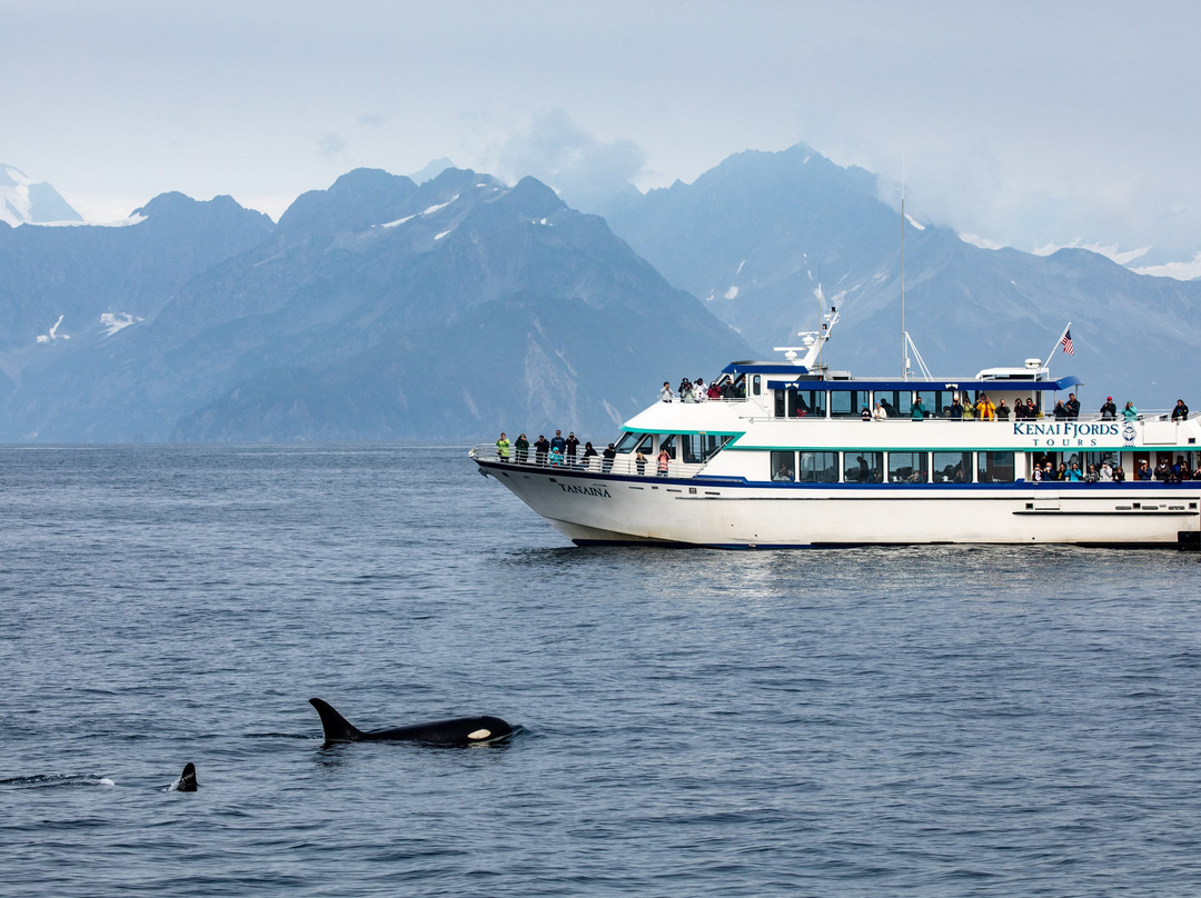 Kenai Fjords Tours景点图片