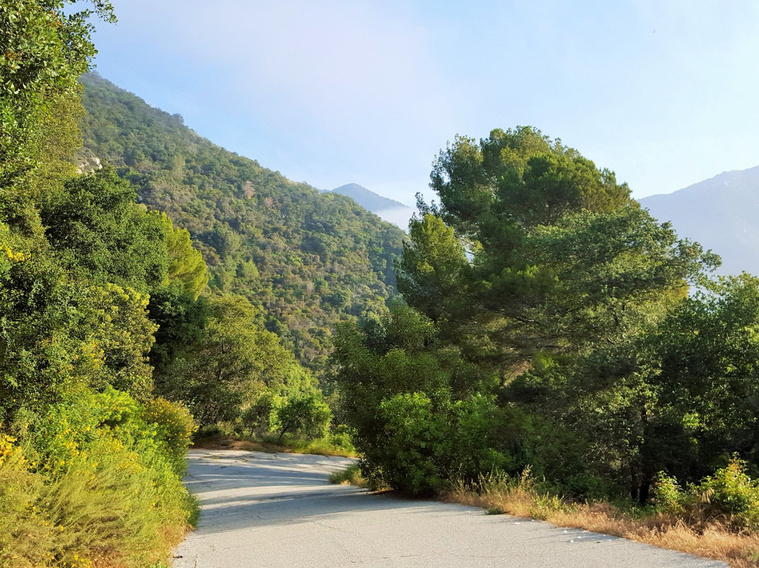 Big Santa Anita Canyon景点图片