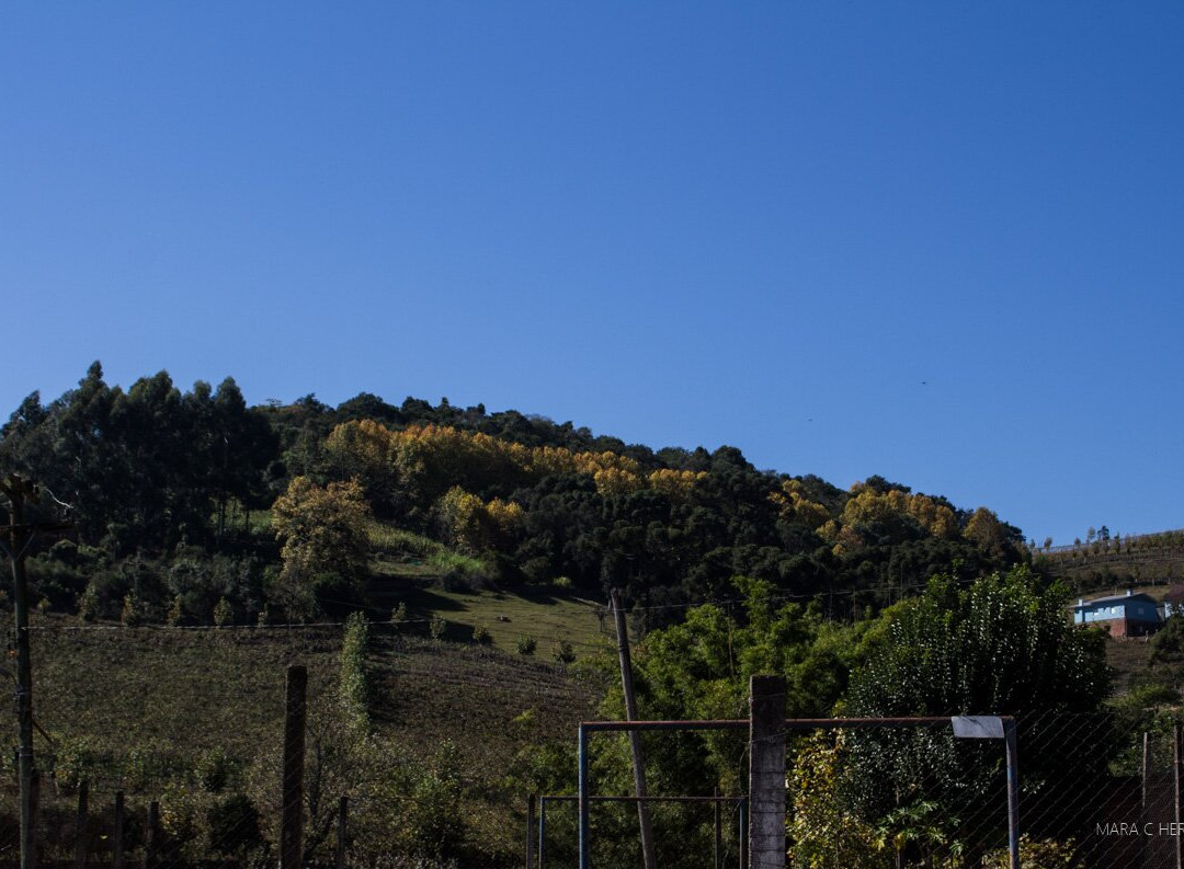Capela Nossa Senhora das Graças-Santa Tereza必去景点