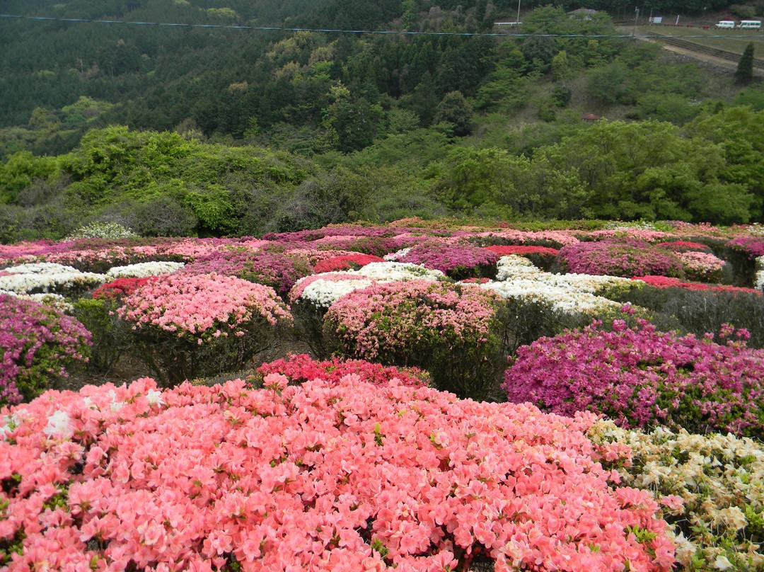 大町旅游景点-Utagaki Park