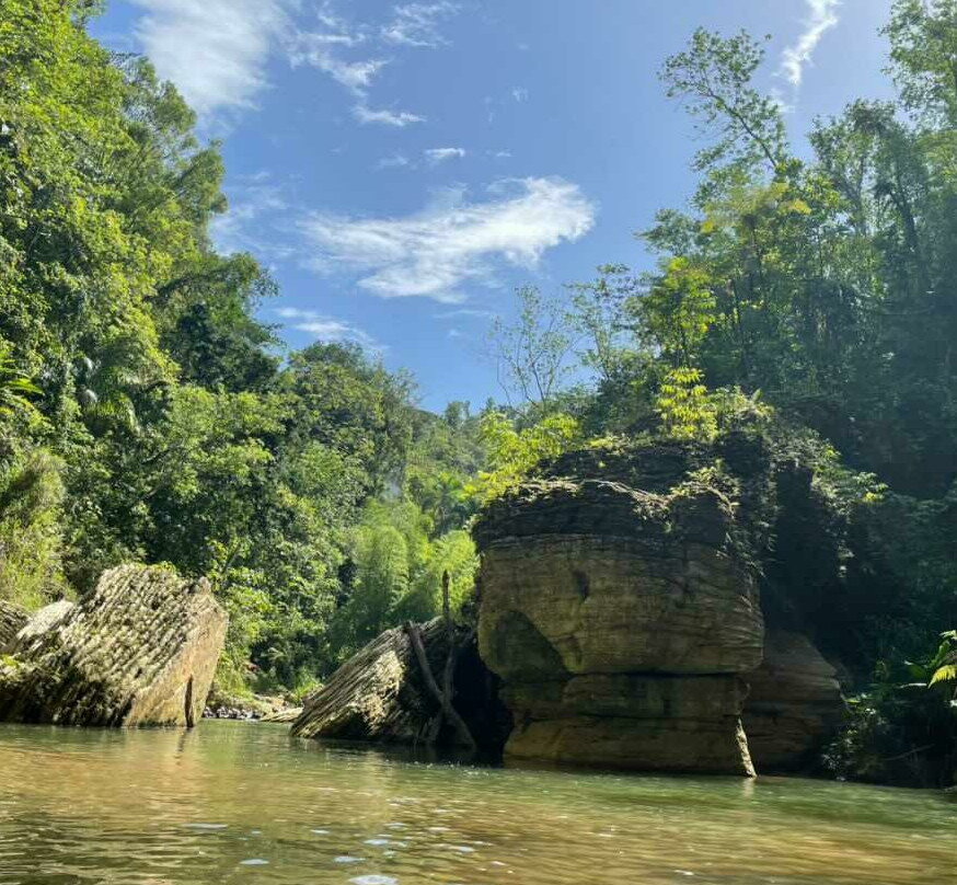 Tanama River Adventures景点图片