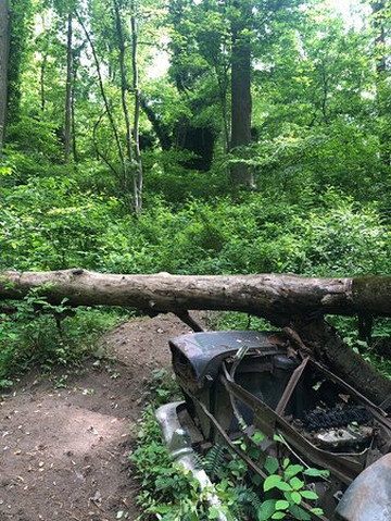 Saint Stanislaus Kostka Catholic Church-Windsor Mill必去景点