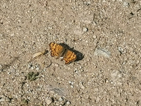 Ruta Galapagar-Galapagar必去景点