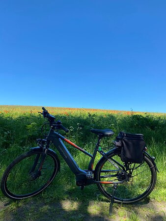 Torque E-Bikes景点图片